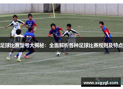 足球比赛型号大揭秘：全面解析各种足球比赛规则及特点