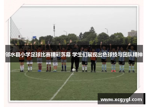 邻水县小学足球比赛精彩落幕 学生们展现出色球技与团队精神